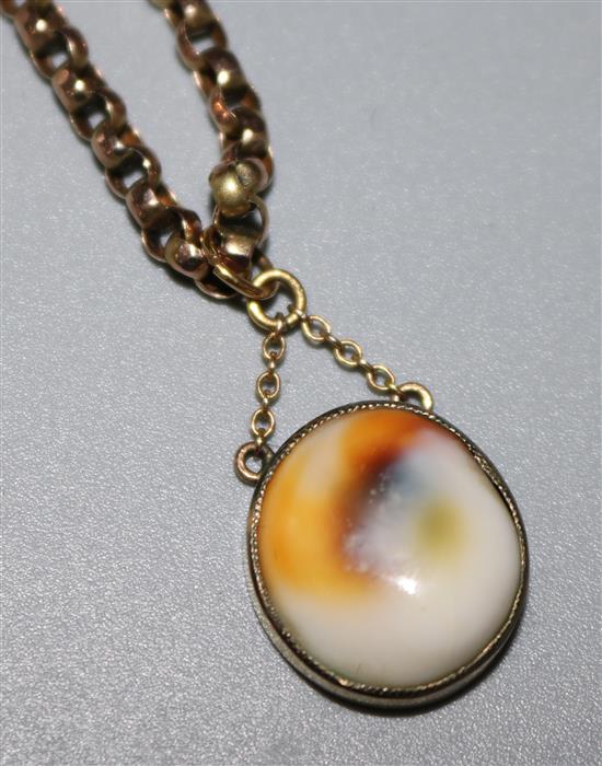 A cowrie shell pendant on a 9ct gold belcher link chain, chain 17in.